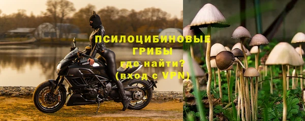 таблы Арсеньев