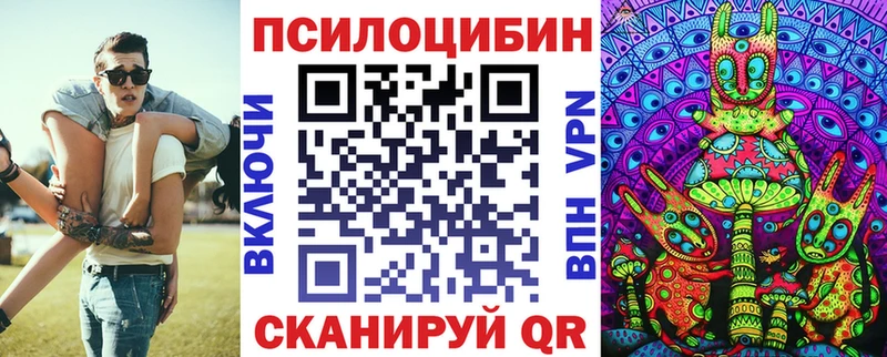 магазин наркотиков Зима Галлюциногенные грибы Magic Shrooms