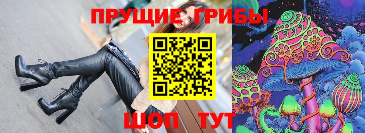 Псилоцибиновые грибы Psilocybe Зима