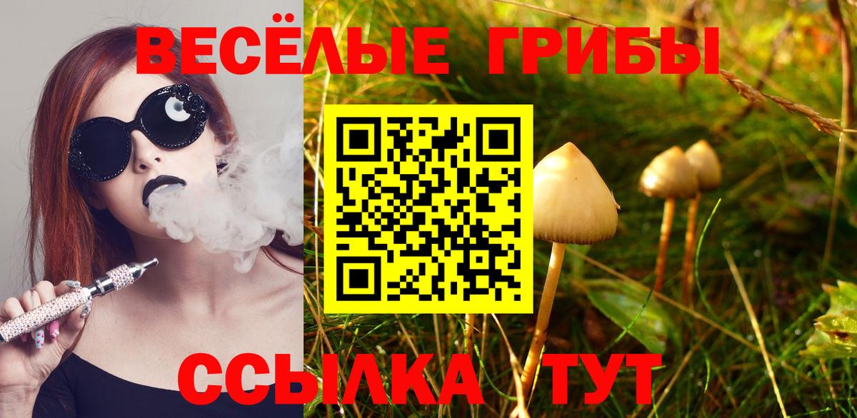 Галлюциногенные грибы мухоморы  Галлюциногенные грибы Magic Shrooms  Зима  Вход с VPN 